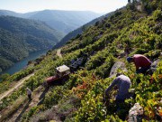 Traditional full day trip in A Ribeira Sacra
