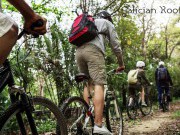 The Camino de Santiago by bike with Galician Roots