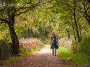 El Camino de Santiago en otoño con Galician Roots