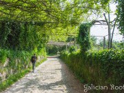 O Camiño de Santiago Portugués con Galician Roots